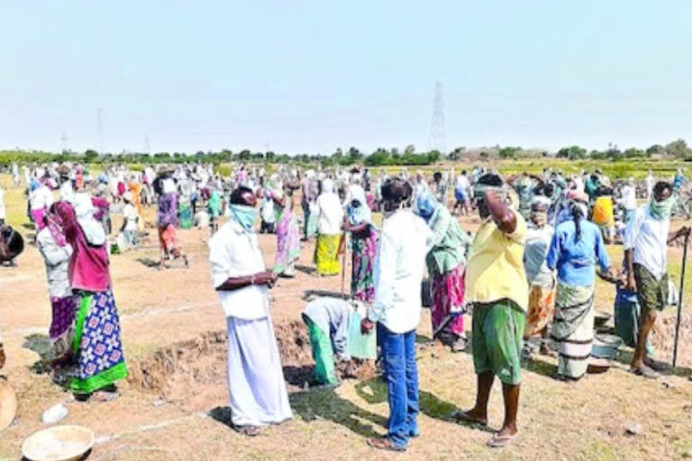 national rural employment scheme is helping a lot during lock down in warangal