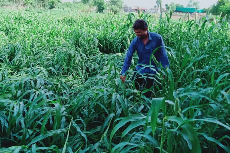 Banaskantha district