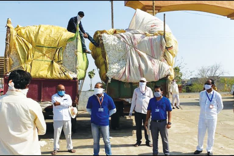 nandurbanandurbar cotton marketr market