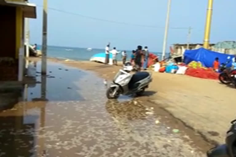 Sea erosion  parassala pozhiyoor  കൊല്ലംകോട്  കടൽക്ഷോഭം രൂക്ഷം  എംഎൽഎ ആൻസലൻ