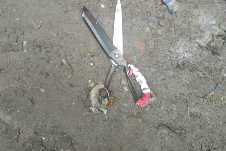 boy killed by scissor
