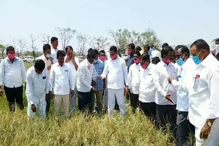 mla gampa govardhan visit in rameshwaram bhiknoor mandal kamareddy