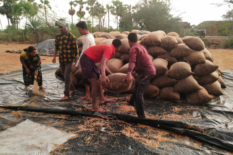 FARMERS GET LOSE DUE TO UNSEASONED RAIN