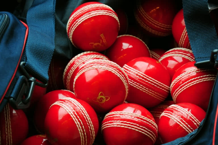 Cricket balls