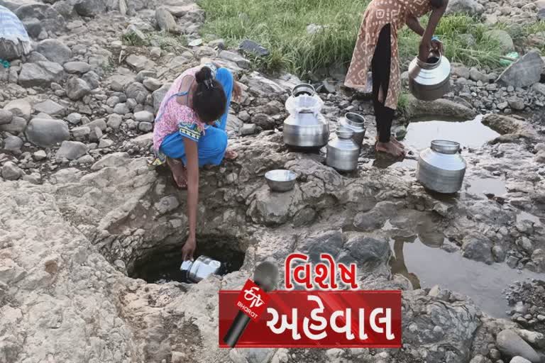 ધામણી ગામના લોકોને પૂછો શું છે એક ટીપું પાણીની કિંમત, 3 કિમિ ચાલીને નદીના કોતરમાંથી ભરવું પડે છે પાણી