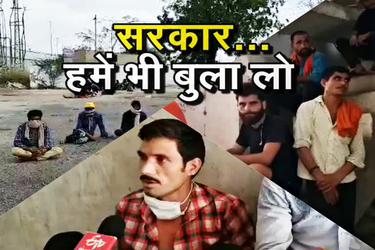 पाली की खबर, राजस्थान हिंदी न्यूज, rajasthan news, pali latest news, migrants related news,  प्रवासियों से जुड़ी खबर