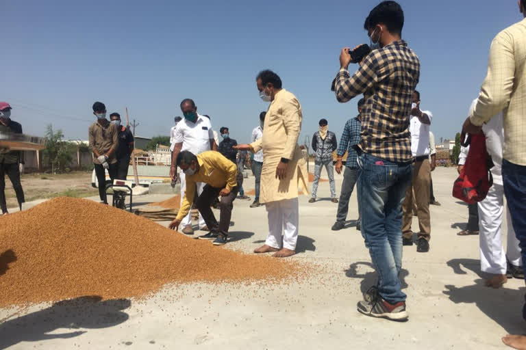 ટેકાના ભાવે ચણાની ખરીદીનો પ્રારંભ