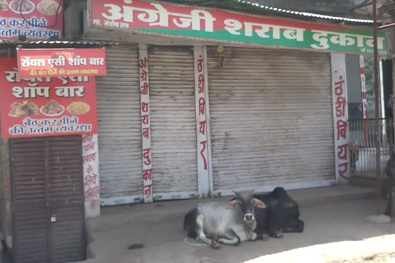 Liquor contractors did not open shop in Katni