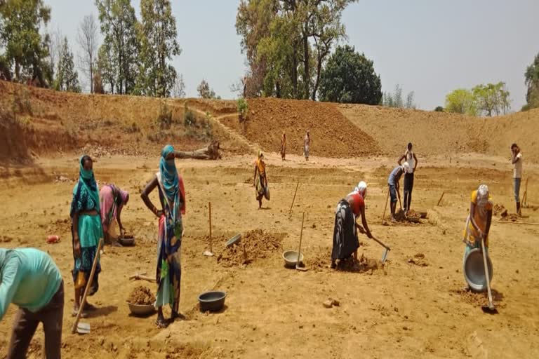 villagers-of-patpariyapara-get-work-under-mgnrega-in-koriya