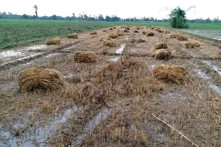 heavy rain with winds hailstorms