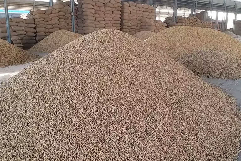 bikaner news, bikaner Grain market, rajasthan congress, Farmers Welfare Tax in bikaner, बीकानेर न्यूज, बीकानेर में व्यापारियों का प्रदर्शन, बीकानेर अनाज मंड़ी, कृषक कल्याण टैक्स