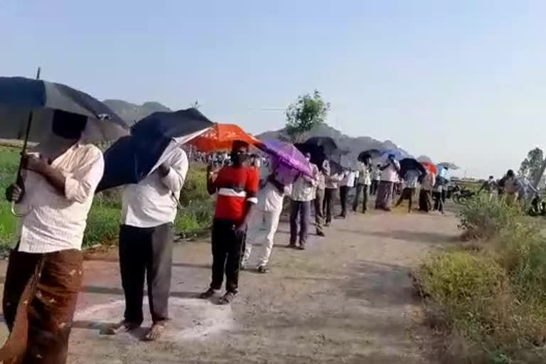 umbrella in must to drinkers to buy a Liquor