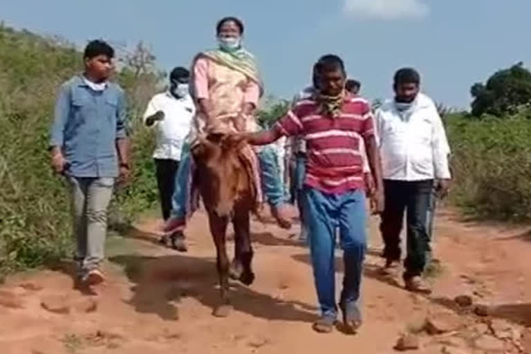 mla-visite-paderu-agency-villages-on-horse-at-visakhapatnam-district