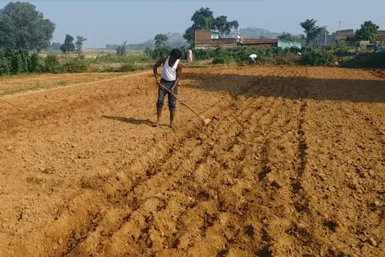 55 blocks of 7 districts declared drought-prone in jharkhand