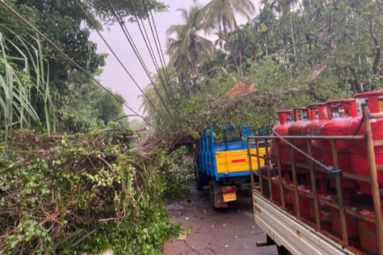 Heavy rains in Dakshina Kannada district