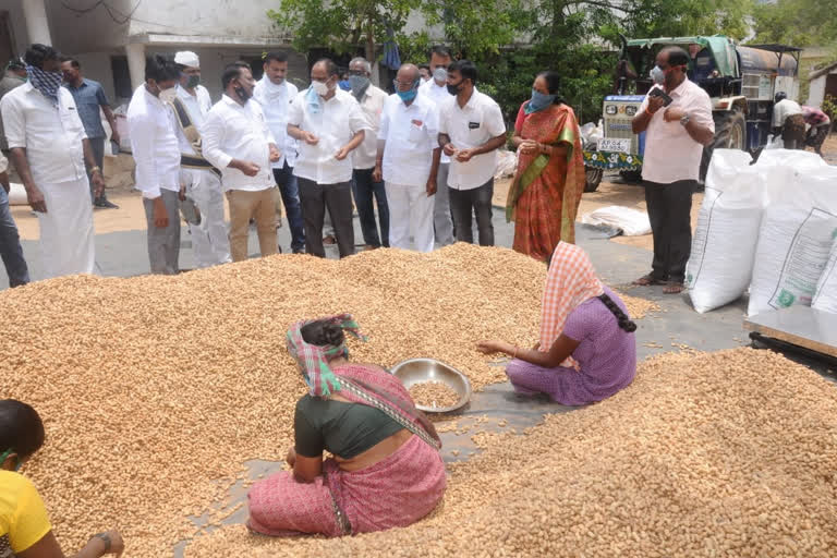 groundnut famers market vists minister sankarnarayana in anantapur dst