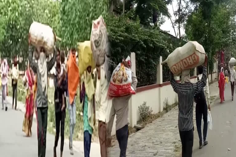 During lockdown People set out from Ghaziabad to Madhya Pradesh by road