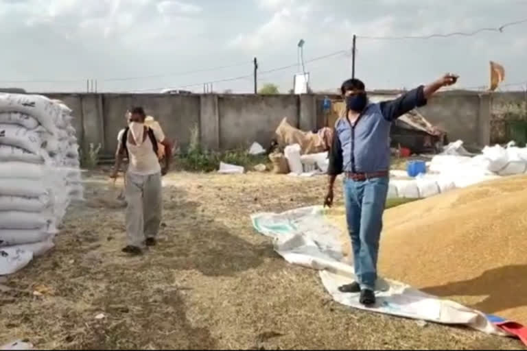 Sanitation is being done to wheat weighing centers in raisen