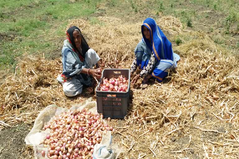 Onion is making farmers cry