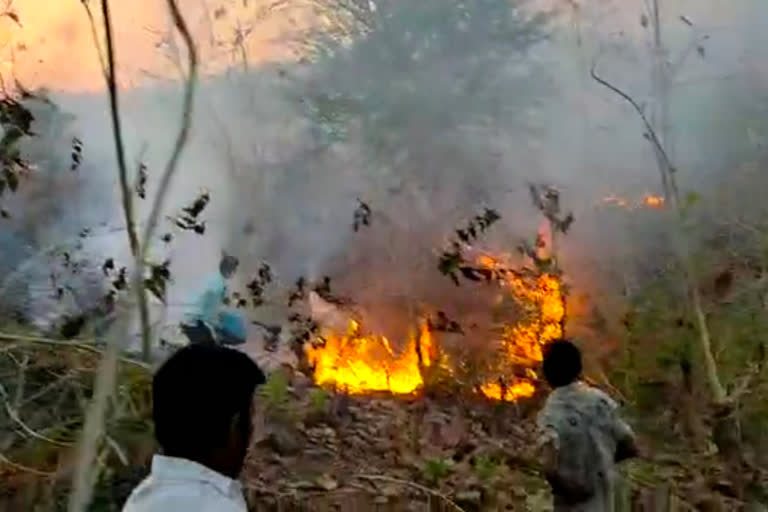 बांसवाड़ा की खबर, forest fire