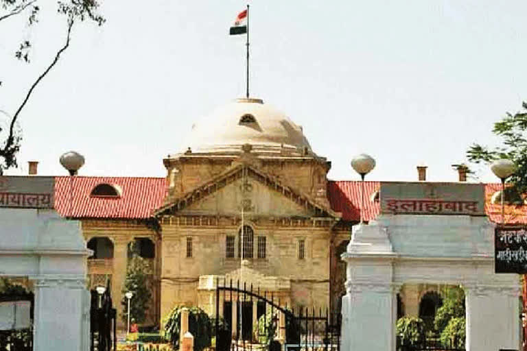 allahabad high court news