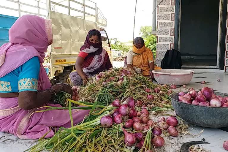 Farmers worried over fall in onion prices