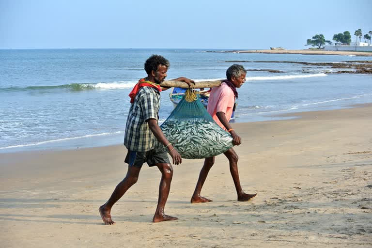 Advisory for fisheries COVID-19 lockdown Coronavirus outbreak ICAR Indian Council of Agricultural Research COVID-19 pandemic COVID-19 lockdown Coronavirus infection ന്യൂഡൽഹി കൊവിഡ് 19 ഇന്ത്യൻ കൗൺസിൽ ഓഫ് അഗ്രികൾച്ചറൽ റിസർച്ച് ഐസി‌എആർ സംസ്ഥാന ഫിഷറീസ് വകുപ്പ്