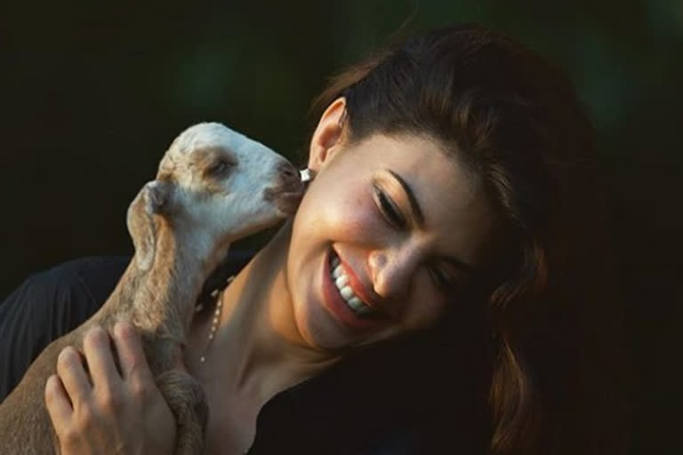 Jacqueline Fernandez strikes pose with new friend Jenny