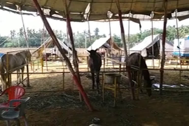 malappuram  Circus artists  trapped  lockdown  കലാകാരന്മാർ  ലോക്ക് ഡൗൺ  വരുമാനവും ഭക്ഷണവും  കോട്ടക്കൽ പുത്തൂർ