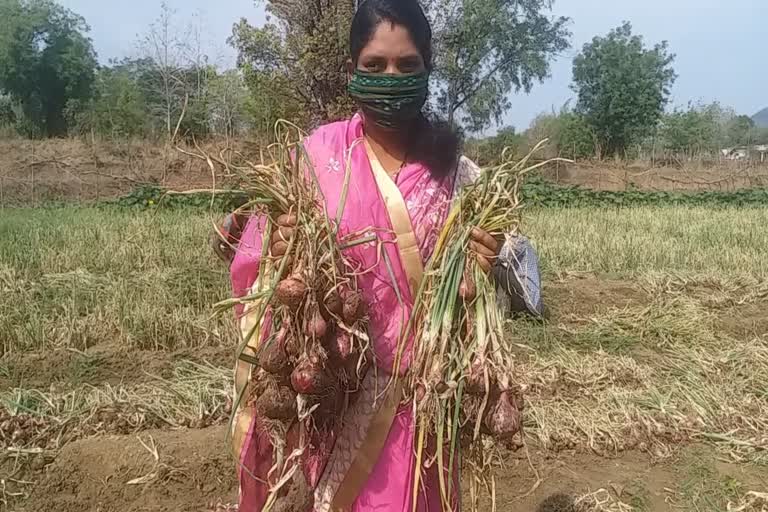 voluntary-organizations-empower-womens-self-help-groups-in-nuapada