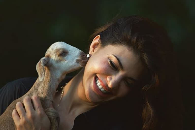 salman khan with jacquline fernandez