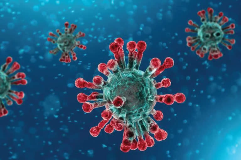 who-on-new-coronavirus-cases-found-in-pakistan