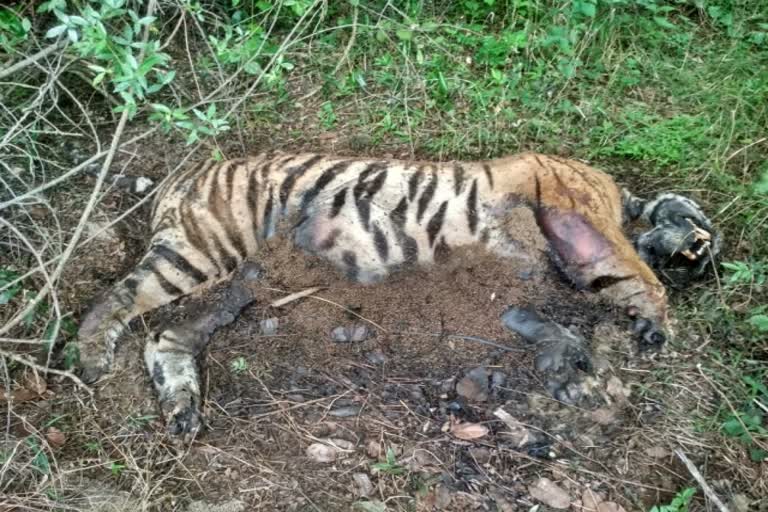 Tiger death