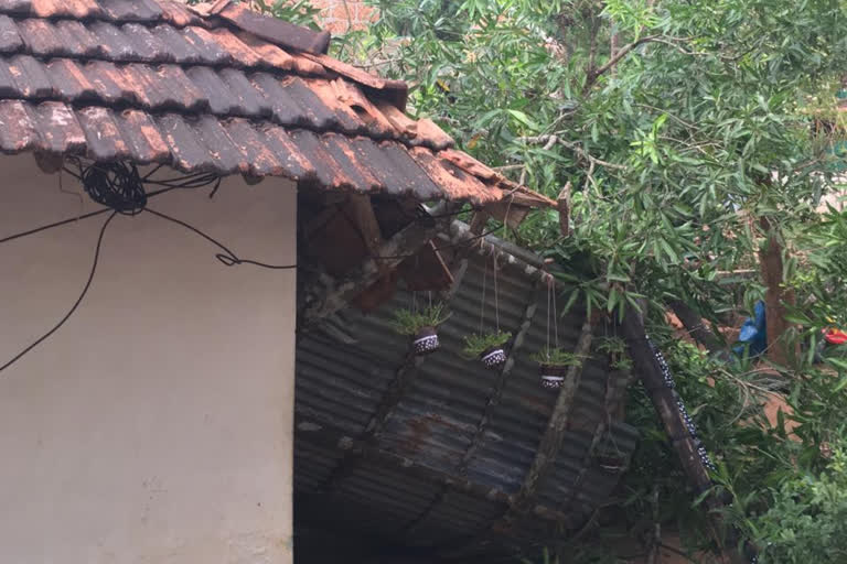 Damage  heavy rains and winds  നാശനഷ്‌ടം  മഴയിലും കാറ്റിലും  ചാലിയാർ പഞ്ചായത്ത്  വീടിൻ്റെ മുൻവശം