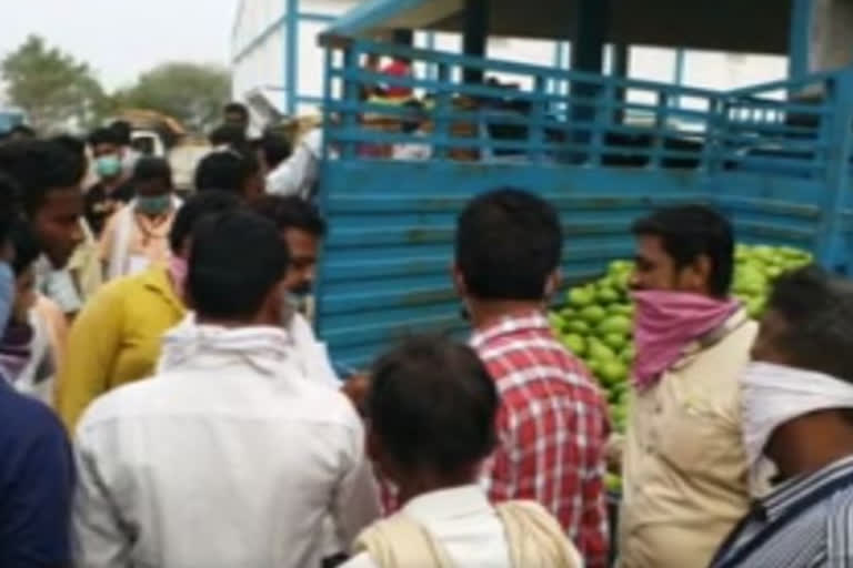 fruit market yard