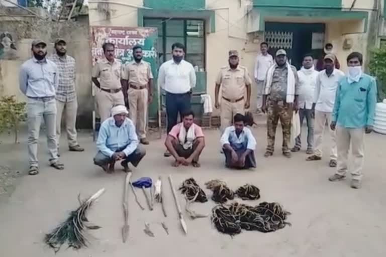 hunters arrested at yavatmal