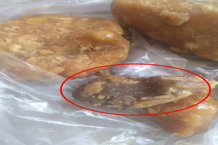 dead-frog-found-inside-jaggery-purchased-from-fair-price-shop-in-kanker