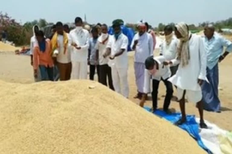 congress leaders inspect paddy purchase center in jagitial district