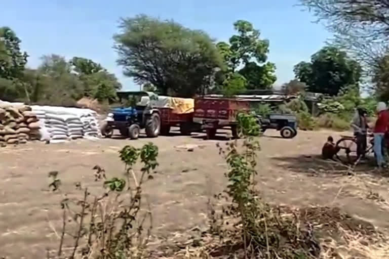 Tightness in Tulai at the weighing center in sehore