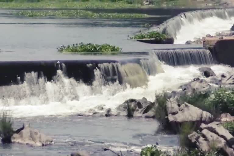 Positive effect of lockdown, Swarnarekha river Jamshedpur, Swarnarekha river clean during lockdown, लॉकडाउन का पॉजिटिव इफेक्ट, स्वर्णरेखा नदी जमशेदपुर, लॉकडाउन के दौरान स्वर्णरेखा नदी हुई साफ