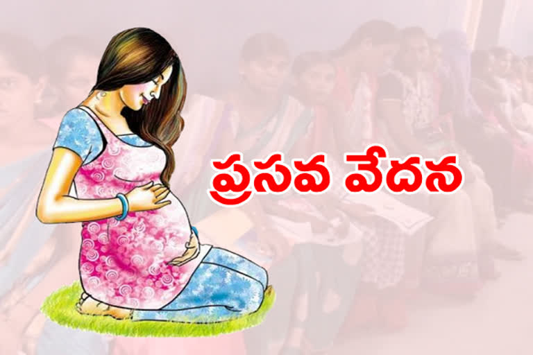 pregnant ladies phased lot problems during lock down in mahabubnagar district