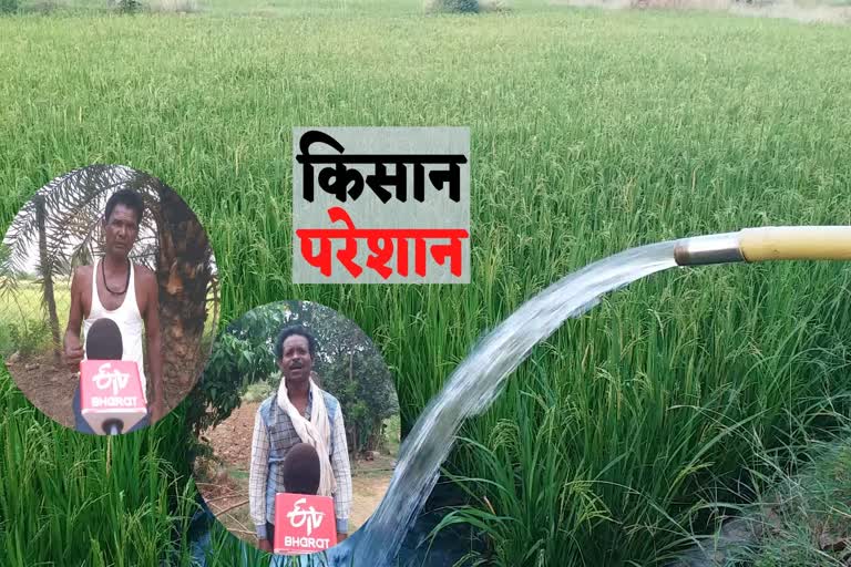 farmer-is-upset-due-to-not-getting-labor-due-to-lockdown-in-rajnandgaon