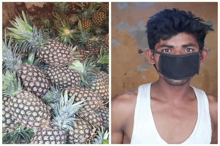 Fruit traders selling pineapple at cheap prices in Ghaziabad during lockdown