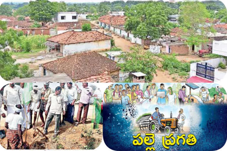 nagarkurnool district latest news