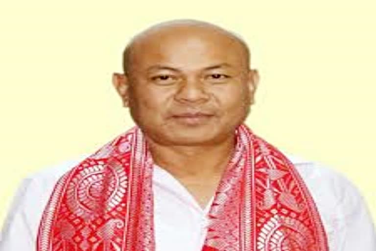 Hagrama Mohilary demands Bharat Ratna for Bodofa Upendranath Brahma