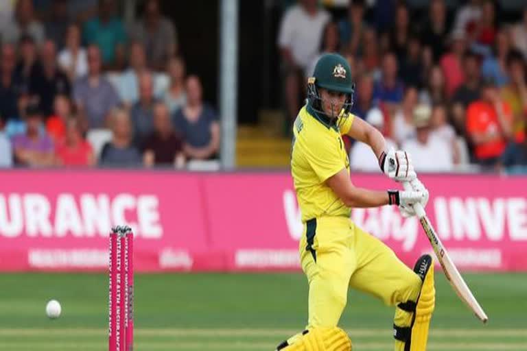 Australian captain Lanning delivers virtual batting class for Ireland women's team