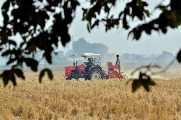 Amid labour shortage, Punjab advances paddy sowing date