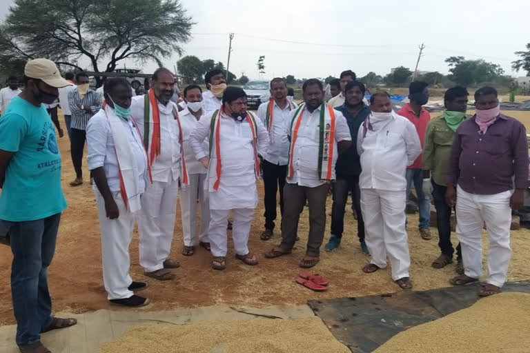 TPCC Executive Chairman Ponnam Prabhakar visited rice paddy fields in Karimnagar