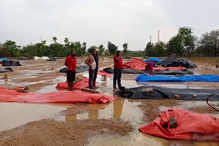 sudden rain in kamareddy