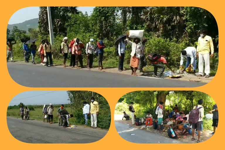 వలస కూలీలకు పండ్లు, ఆహారం అందిస్తున్న స్థానికులు